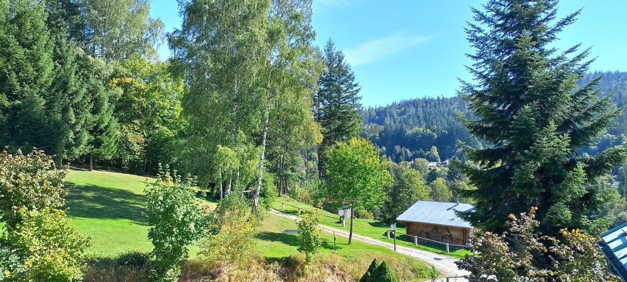 Pizzeria A Penzion Banderas Bayerisch Eisenstein Bagian luar foto